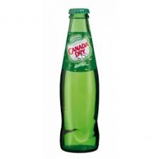 CANADA DRY 20CL x 24